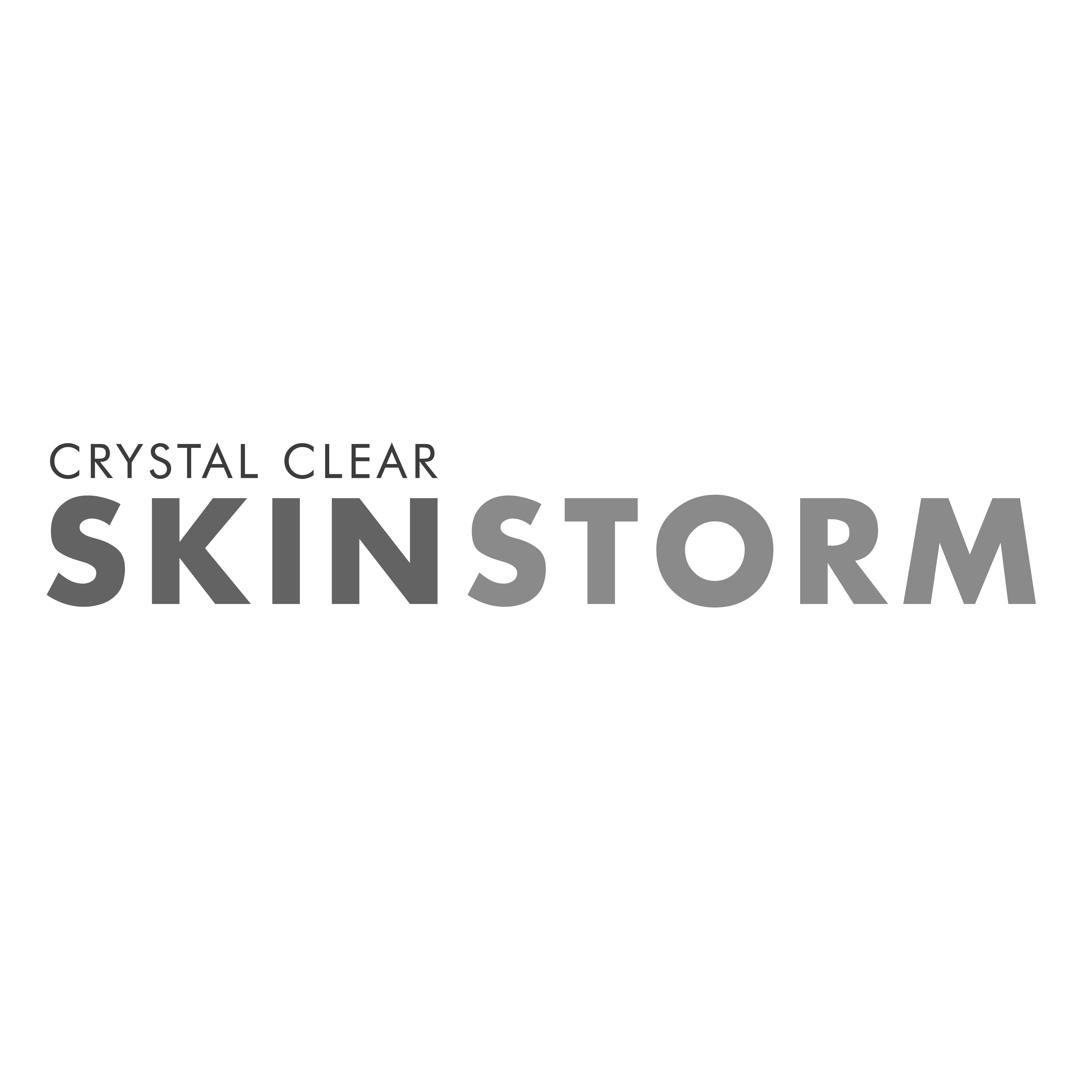 SkinStorm logo